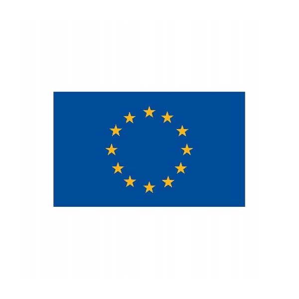 Flaga Europy 20x30cm Lalizas