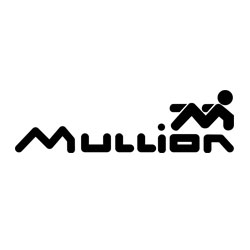 Mullion