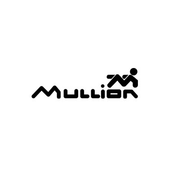 Mullion