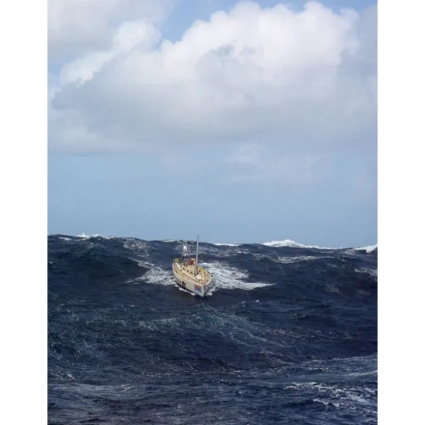 Zwycięska załoga Brendan Hall Nautica